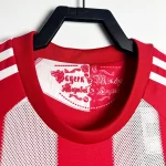 Bayern Munich Jersey | 2010-11 Retro Football Shirt – RFS UK