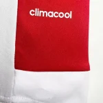 Southampton Shirt 2015-16 Home Retro | RFS UK Pro Jersey Shop