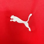 Arsenal Football Shirts – 2015 Home Jersey by Puma | RFS UK Pro Jersey Shop