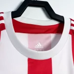 Southampton Shirt 2015-16 Home Retro | RFS UK Pro Jersey Shop