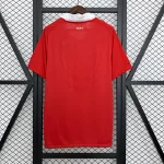 Man Utd Shirts 2010-11 Home Retro | RFS UK Pro Jersey Shop