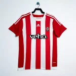 Southampton Shirt 2015-16 Home Retro | RFS UK Pro Jersey Shop