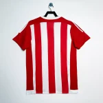 Southampton Shirt 2015-16 Home Retro | RFS UK Pro Jersey Shop